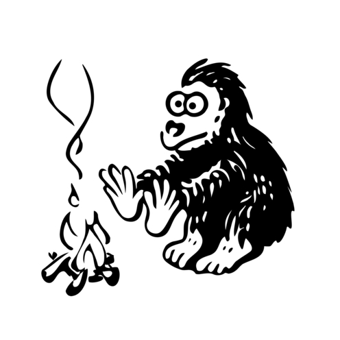 Bild für Kategorie SPENDERSYSTEM Personenhygiene